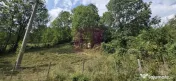 Teren intravilan 453 mp de vanzare in Valea Doftanei 