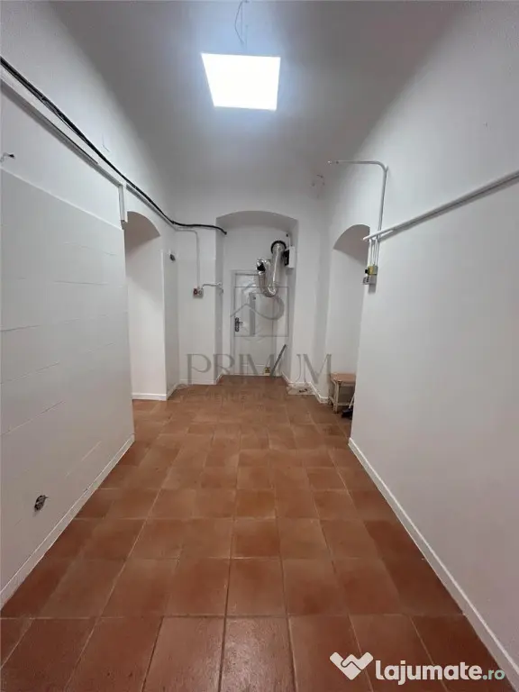 Spatiu comercial cu intrare din strada pentru Horeca - Ultra - Timisoara (Timis)