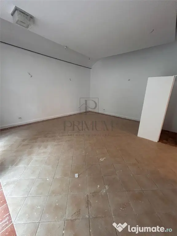 Spatiu comercial cu intrare din strada pentru Horeca - Ultra - Timisoara (Timis)