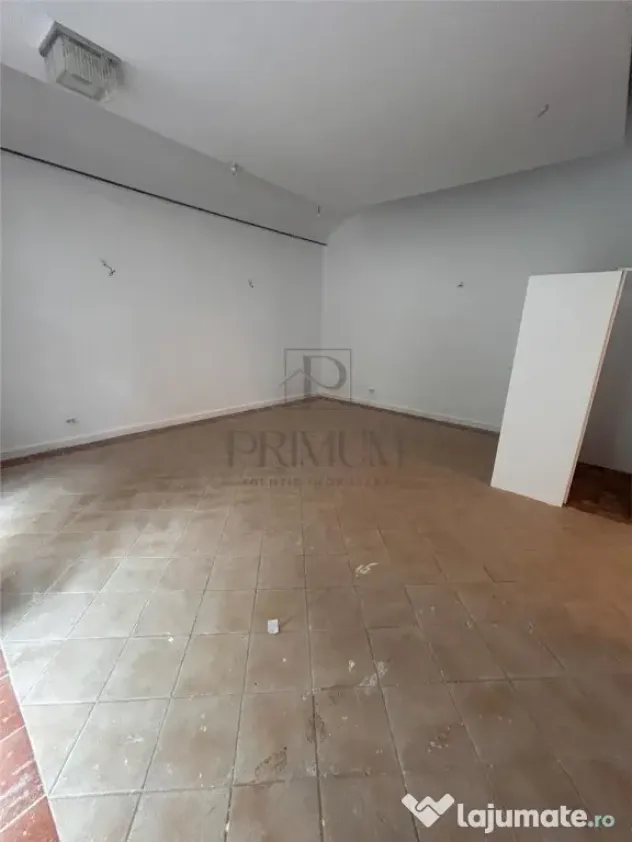 Spatiu comercial cu intrare din strada pentru Horeca - Ultra - Timisoara (Timis)