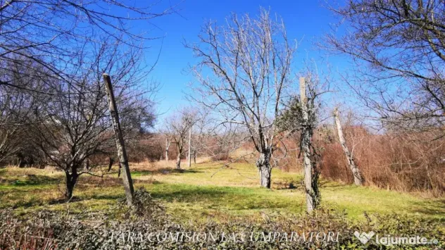 TEREN 5061 MP - PRETABIL CONSTRUIRE BLOCURI P+4 - Ramnicu Valcea (Valcea)