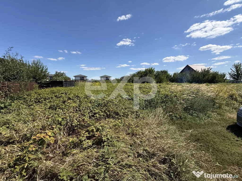 Teren intravilan de vânzare – Iași, Vorovești | 981 mp - Iasi (Iasi)