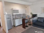 Apartament 1 camera Tudor Vladimirescu - 390 euro 