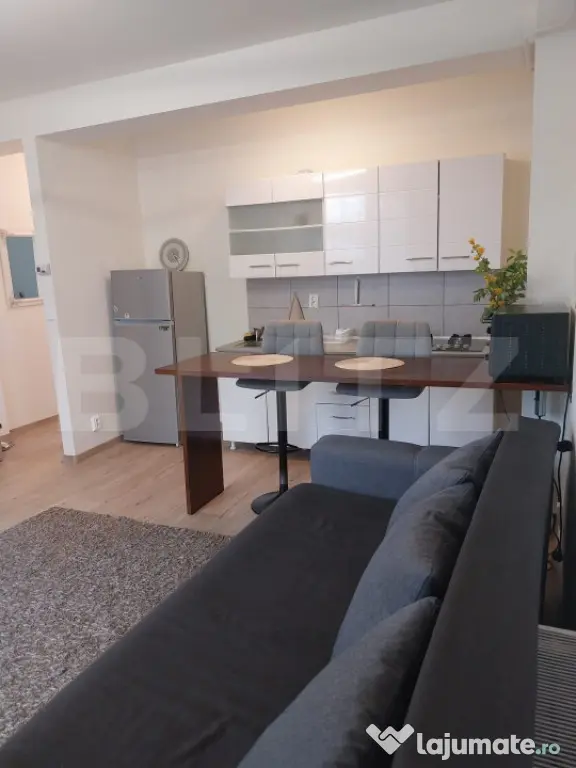Apartament 1 camera Tudor Vladimirescu - 390 euro - Iasi (Iasi)