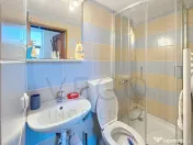 Apartament cu 1 cameră in zona Ultracentrala - Regele Ferdi