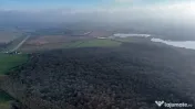 Teren langa Manastirea Sfantul Nicolae Sitaru 