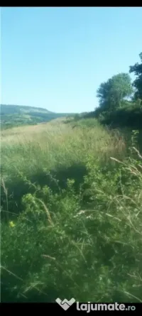 Teren de Vanzare