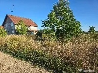 Teren intravilan Balotesti