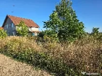 Teren intravilan Balotesti