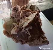 Trandafirul desertului Gigant 40 cm. 20 kg.