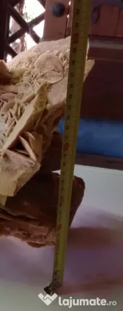 Trandafirul desertului Gigant 40 cm. 20 kg.
