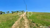 1061 mp în Poiana Mărului | Teren cu potențial, la doar 1 