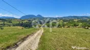 1061 mp în Poiana Mărului | Teren cu potențial, la doar 1 