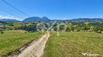 1061 mp în Poiana Mărului | Teren cu potențial, la doar 1
