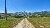 1061 mp în Poiana Mărului | Teren cu potențial, la doar 1 