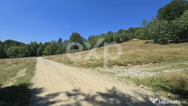 36.200 mp teren | Poiana Mărului | Platou | Apă și curent - Poiana Marului (Brasov)