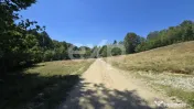 36.200 mp teren | Poiana Mărului | Platou | Apă și curent 