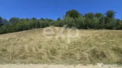 36.200 mp teren | Poiana Mărului | Platou | Apă și curent 