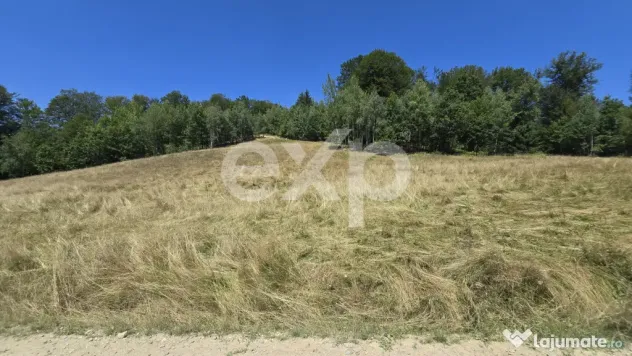36.200 mp teren | Poiana Mărului | Platou | Apă și curent - Poiana Marului (Brasov)