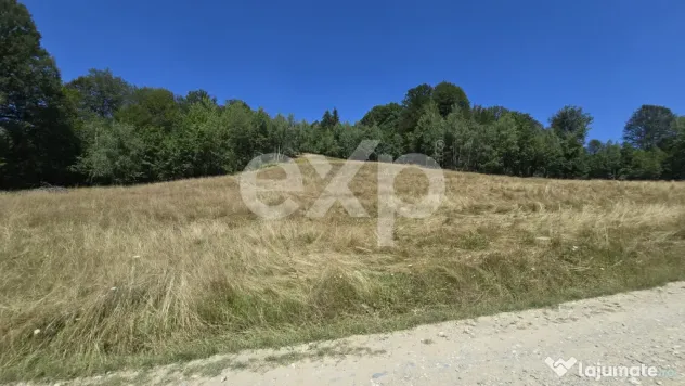36.200 mp teren | Poiana Mărului | Platou | Apă și curent - Poiana Marului (Brasov)