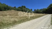 36.200 mp teren | Poiana Mărului | Platou | Apă și curent 