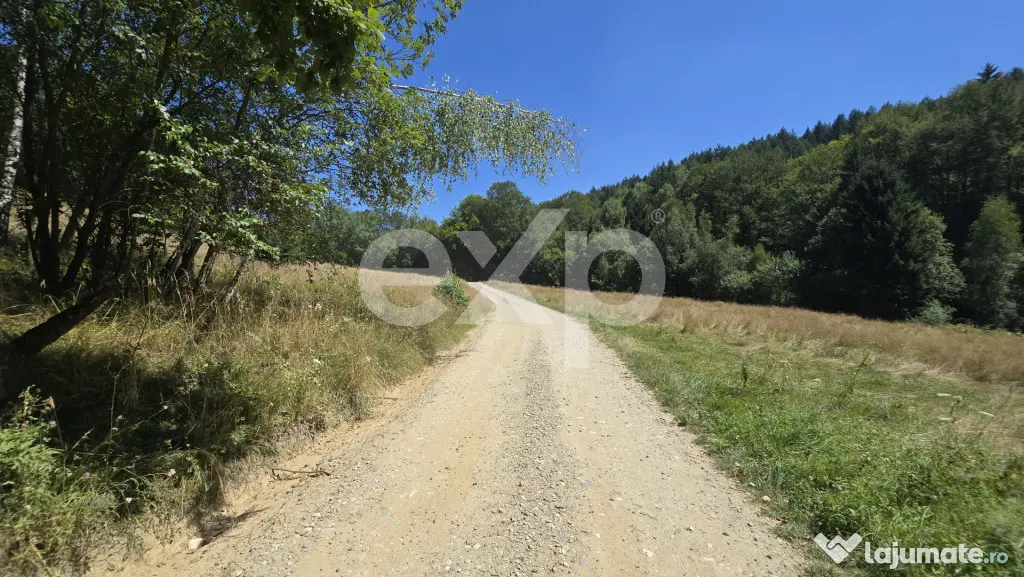 36.200 mp teren | Poiana Mărului | Platou | Apă și curent - Poiana Marului (Brasov)