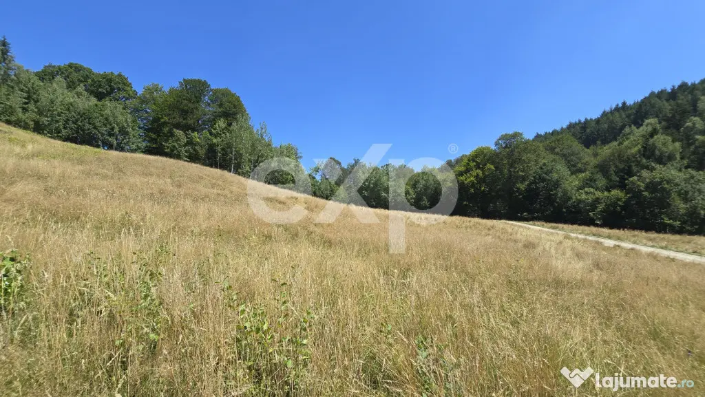 36.200 mp teren | Poiana Mărului | Platou | Apă și curent - Poiana Marului (Brasov)