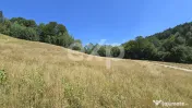 36.200 mp teren | Poiana Mărului | Platou | Apă și curent 