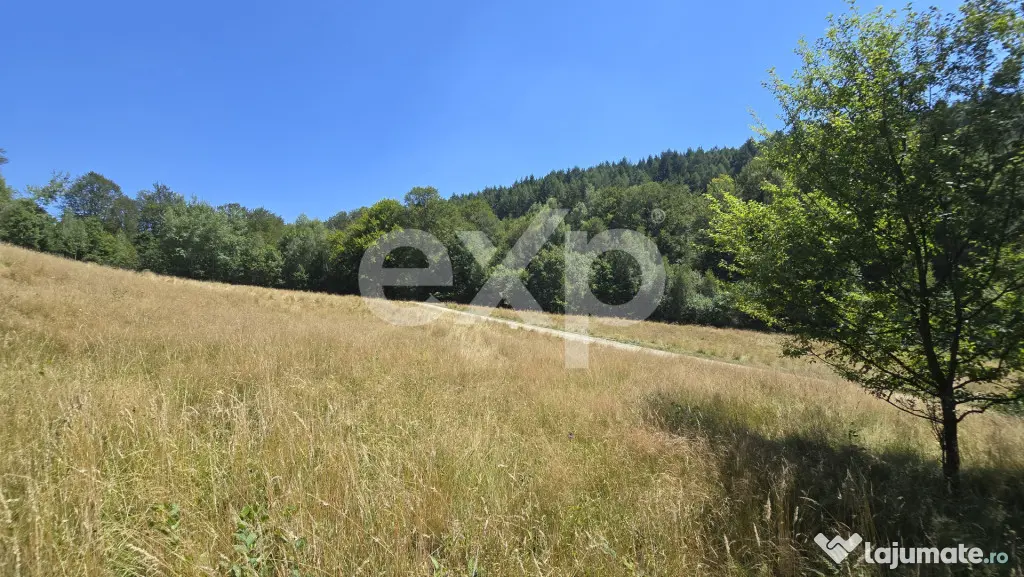 36.200 mp teren | Poiana Mărului | Platou | Apă și curent - Poiana Marului (Brasov)