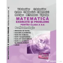 Matematica Exercitii si probleme pentru clasa a 10-a. Profilul Tehnologic - Virgiliu Schneider