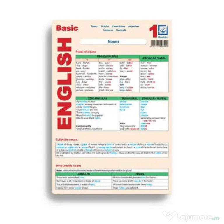 Basic English 1 - Mihaela Danga, Laura Popescu