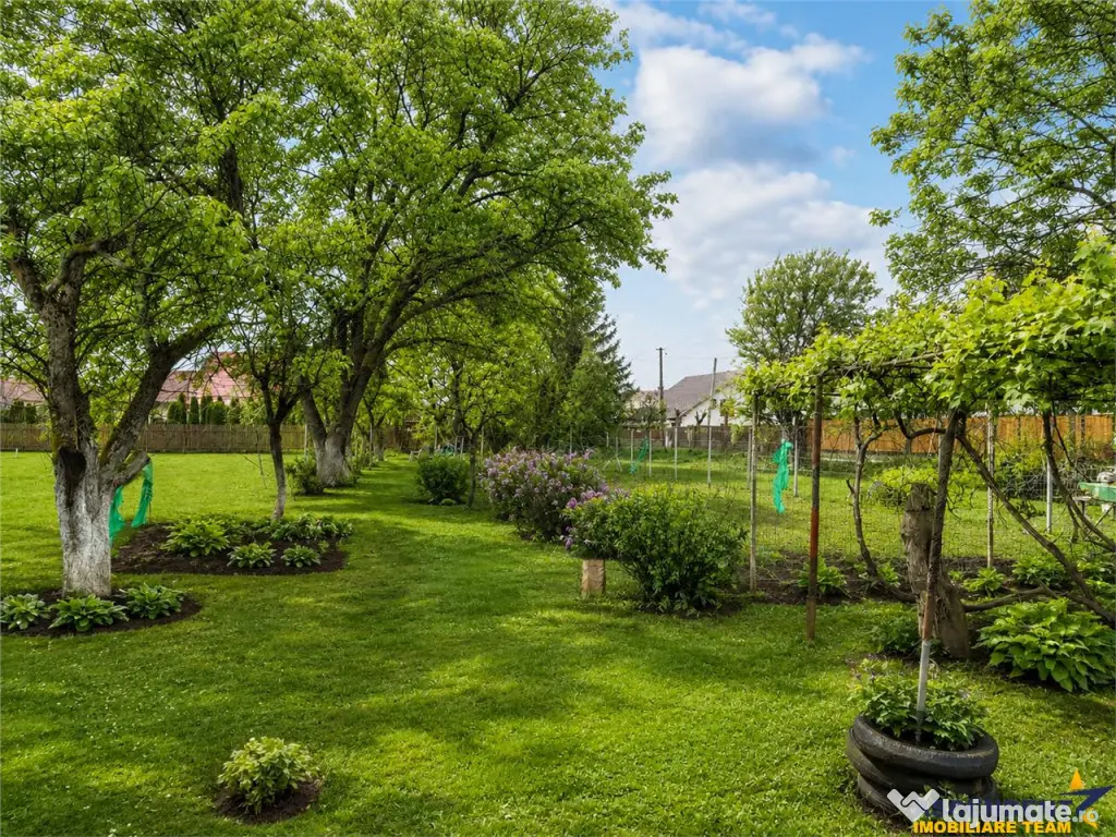 Casa traditionala, cu 709 mp teren intravilan zona apreciabi - Sfantu Gheorghe (Covasna)