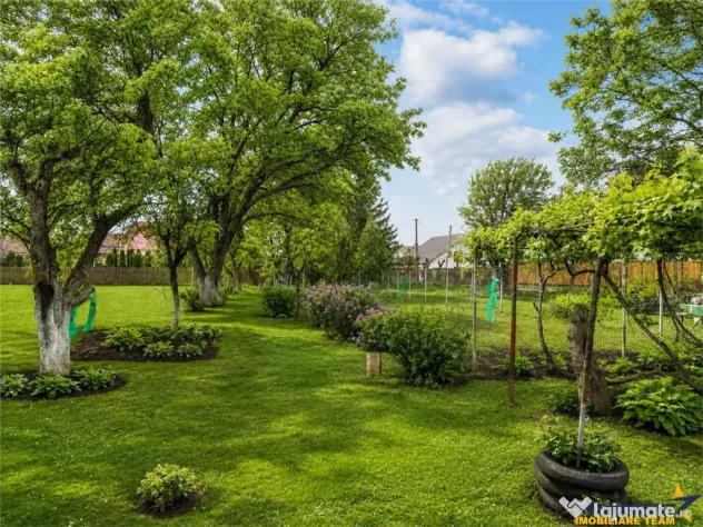 Casa traditionala, cu 709 mp teren intravilan zona apreciabi - Sfantu Gheorghe (Covasna)
