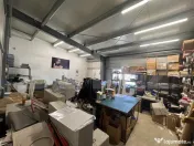 Hală industrială 390 mp, teren 2.045 mp, afacere tipografi