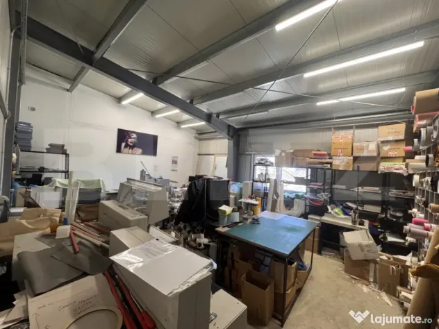 Hală industrială 390 mp, teren 2.045 mp, afacere tipografi - Craiova (Dolj)