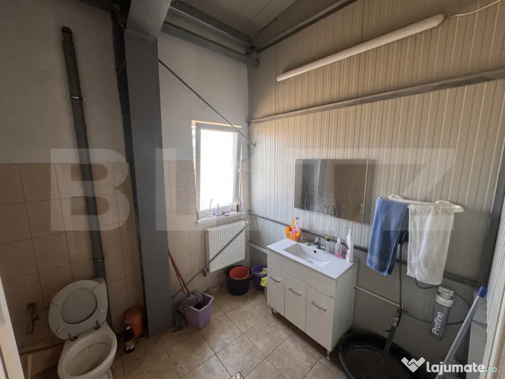 Hală industrială 390 mp, teren 2.045 mp, afacere tipografi - Craiova (Dolj)