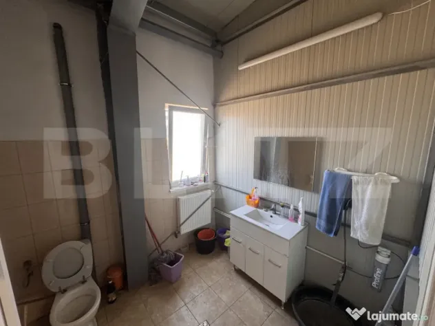 Hală industrială 390 mp, teren 2.045 mp, afacere tipografi - Craiova (Dolj)