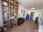 Hală industrială 390 mp, teren 2.045 mp, afacere tipografi
