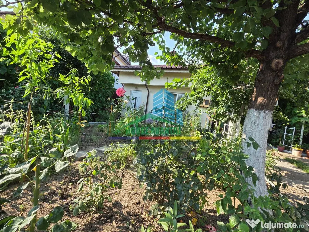 Casă cu 3 camere în Focșani 130 mp | Teren 497 mp - Focsani (Vrancea)
