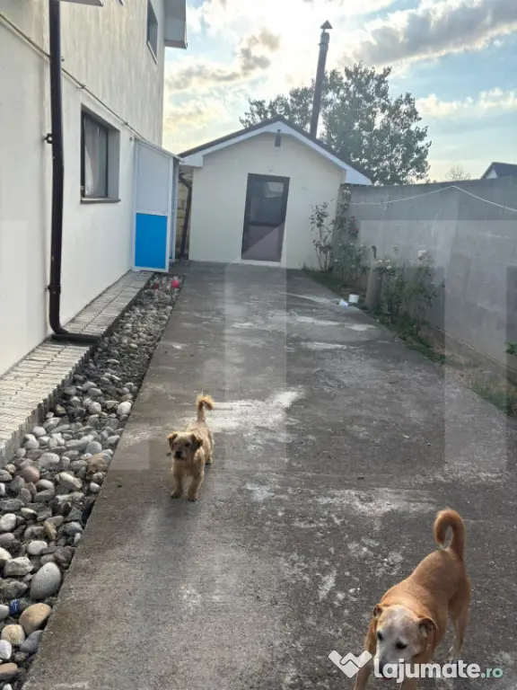 CASA DE VANZARE - SLATINA OLT - SATUL NOU - Slatina (Olt)