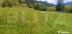 Teren intravilan, 7.362 mp, zona Vatra Dornei