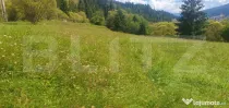 Teren intravilan, 7.362 mp, zona Vatra Dornei
