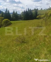 Teren intravilan, 7.362 mp, zona Vatra Dornei 