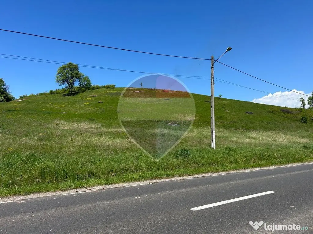 Teren intravilan 7430mp | Berinta, MM | Oportunitate de I... - Berinta (Maramures)