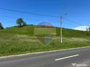 Teren intravilan 7430mp | Berinta, MM | Oportunitate de I... 