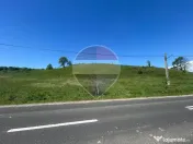 Teren intravilan 7430mp | Berinta, MM | Oportunitate de I... 