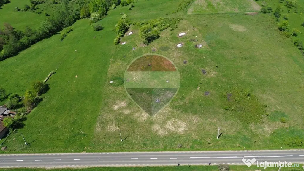 Teren intravilan 7430mp | Berinta, MM | Oportunitate de I... - Berinta (Maramures)