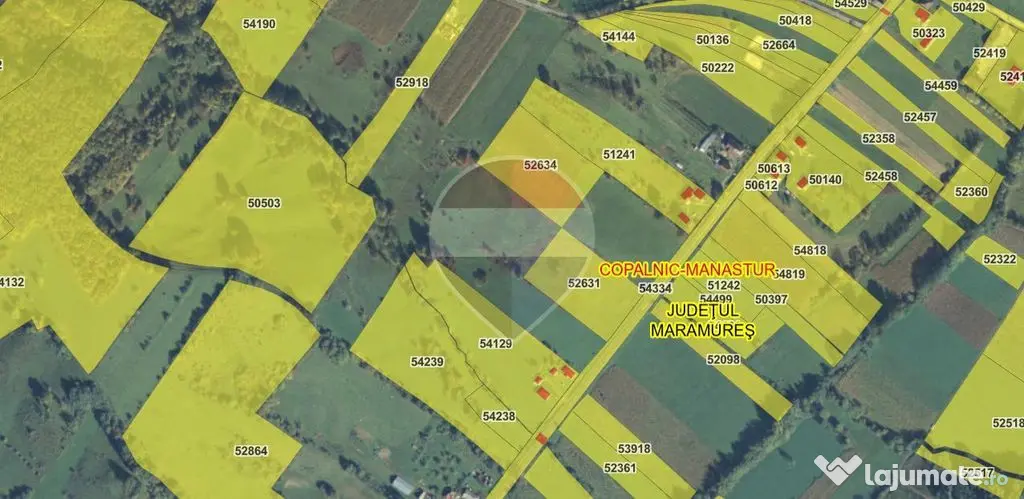 Teren intravilan 7430mp | Berinta, MM | Oportunitate de I... - Berinta (Maramures)
