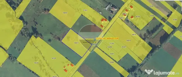 Teren intravilan 7430mp | Berinta, MM | Oportunitate de I... - Berinta (Maramures)