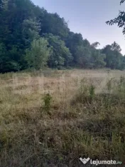 Teren 2.175 mp | Șesuri – Bucureșci | acces asfaltat, po